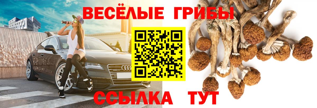 Галлюциногенные грибы Cubensis  Вход с VPN  Ликино-Дулёво 